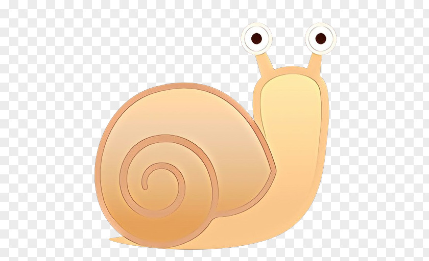 Invertebrate Sea Snail Cartoon PNG
