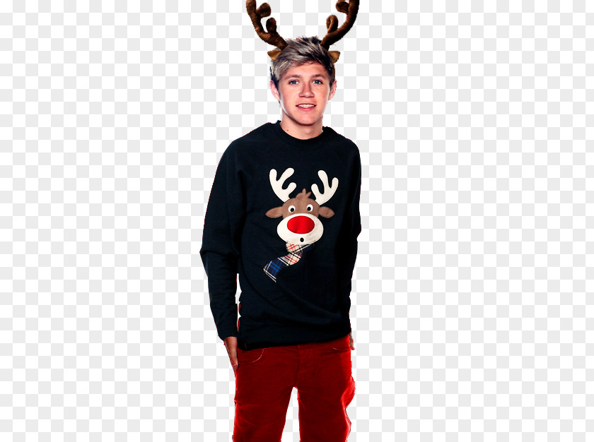 Niall Horan Reindeer Christmas T-shirt One Direction PNG