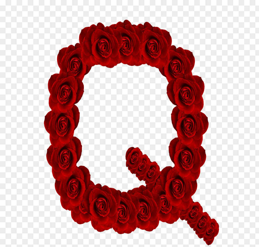 Rosas Vermelhas Garden Roses Letter Case Alphabet Lettering PNG