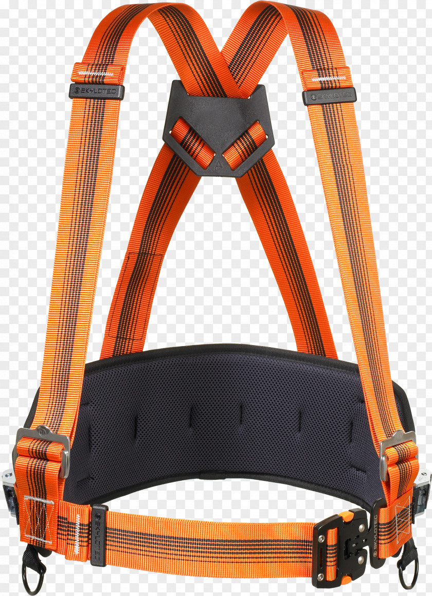 Tool Belt Climbing Harnesses Horse SKYLOTEC Personal Protective Equipment PNG