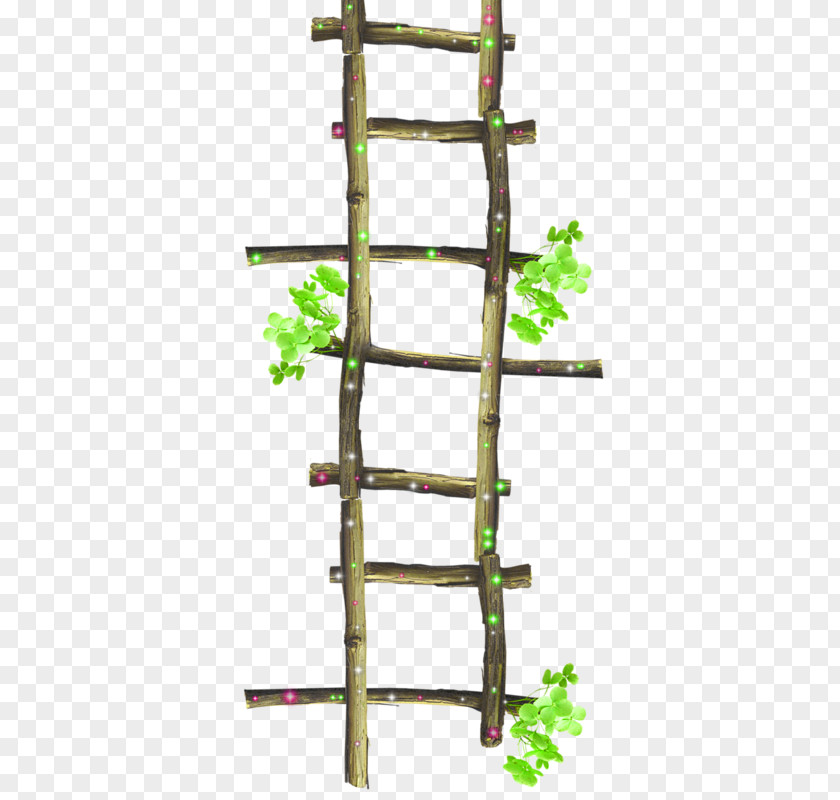 Wooden Ladders Ladder Stairs Clip Art PNG