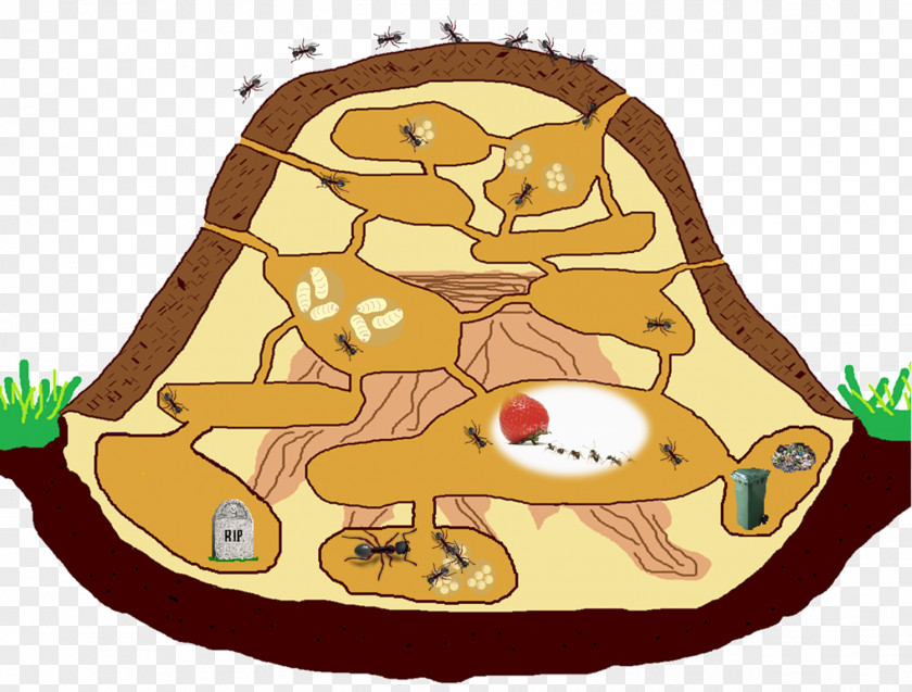 Anteater Ant Colony Red Wood Nest Clip Art PNG