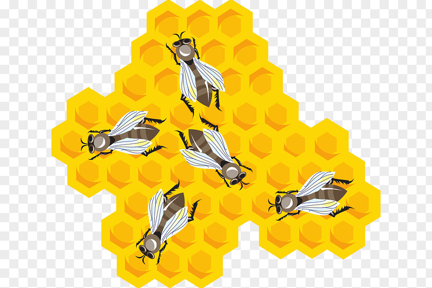 Comb Beehive Honeycomb Clip Art PNG