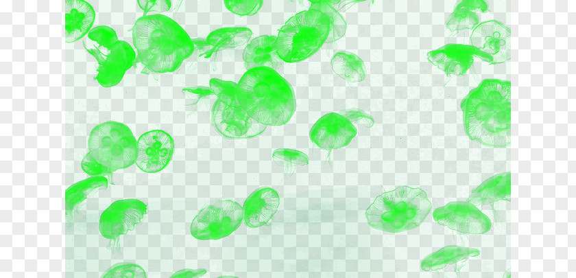 Dream Jellyfish Green Pattern PNG