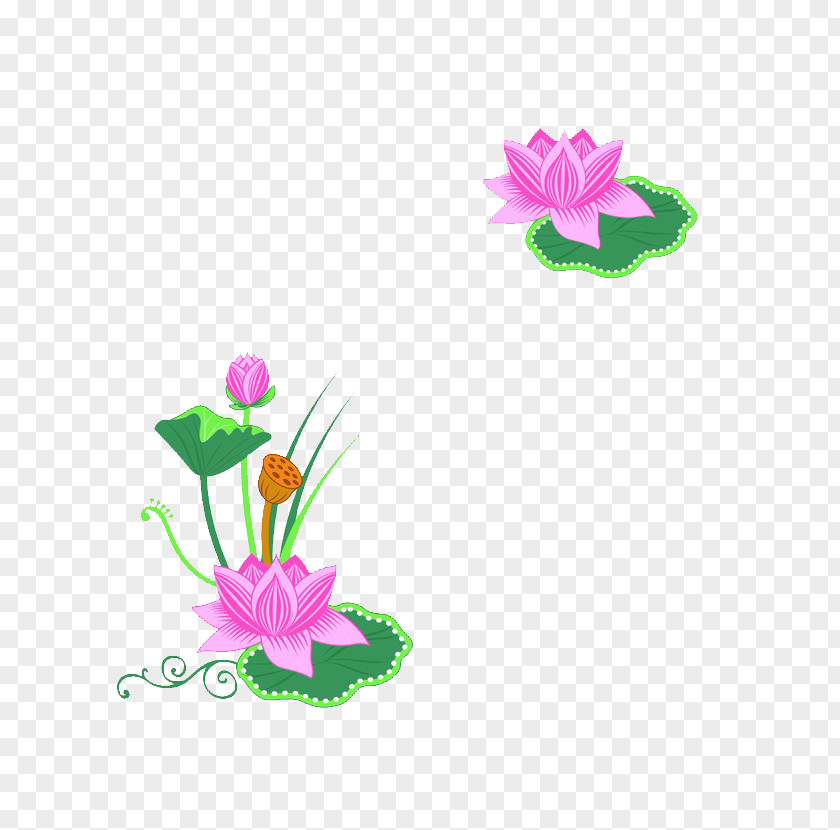 Lotus Printing Frame Nelumbo Nucifera Clip Art PNG