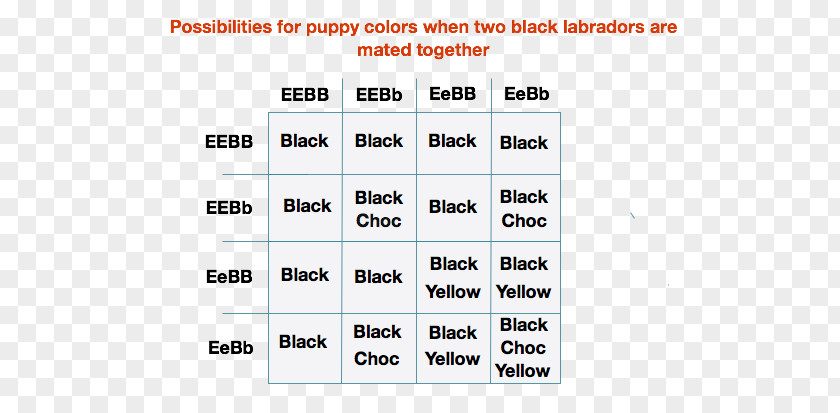 Black Dog Puppy Document Line Organization Angle PNG