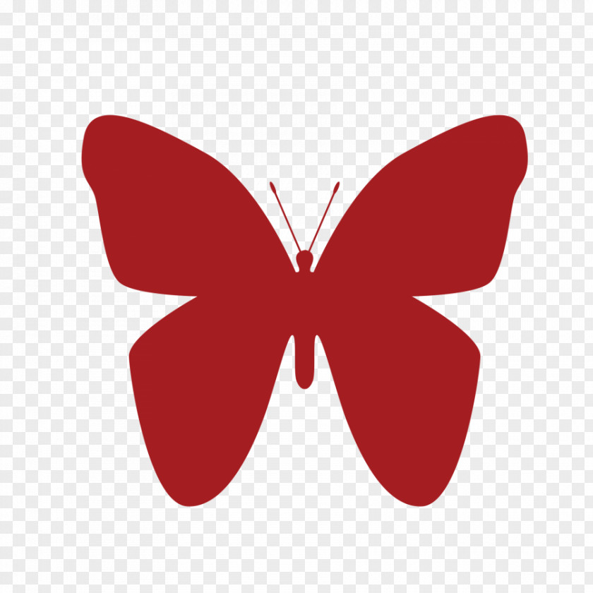 Butterfly Clip Art Shape Drawing Image PNG