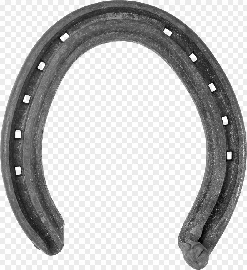 Horse Horseshoe Farrier Kerckhaert PNG