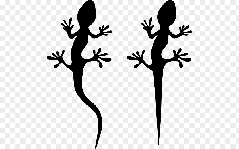 Lizard Reptile Animal Silhouettes Clip Art PNG