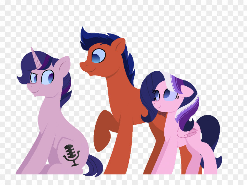 Set Of Little Princess Pony Twilight Sparkle Flash Sentry Spike Rarity PNG