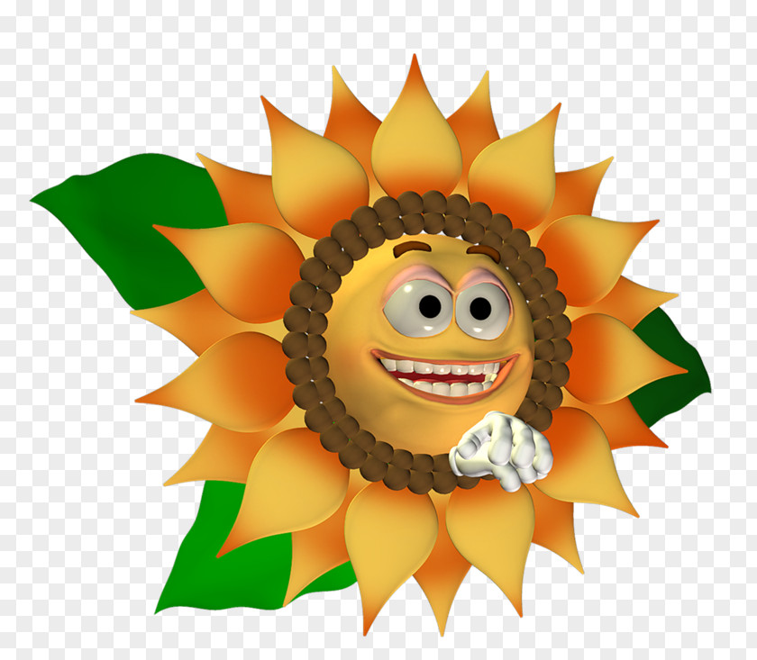 Smiles Sunflower M Fruit .net PNG