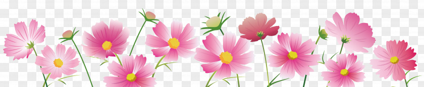 Tulip Flora Desktop Wallpaper Computer Plant Stem PNG