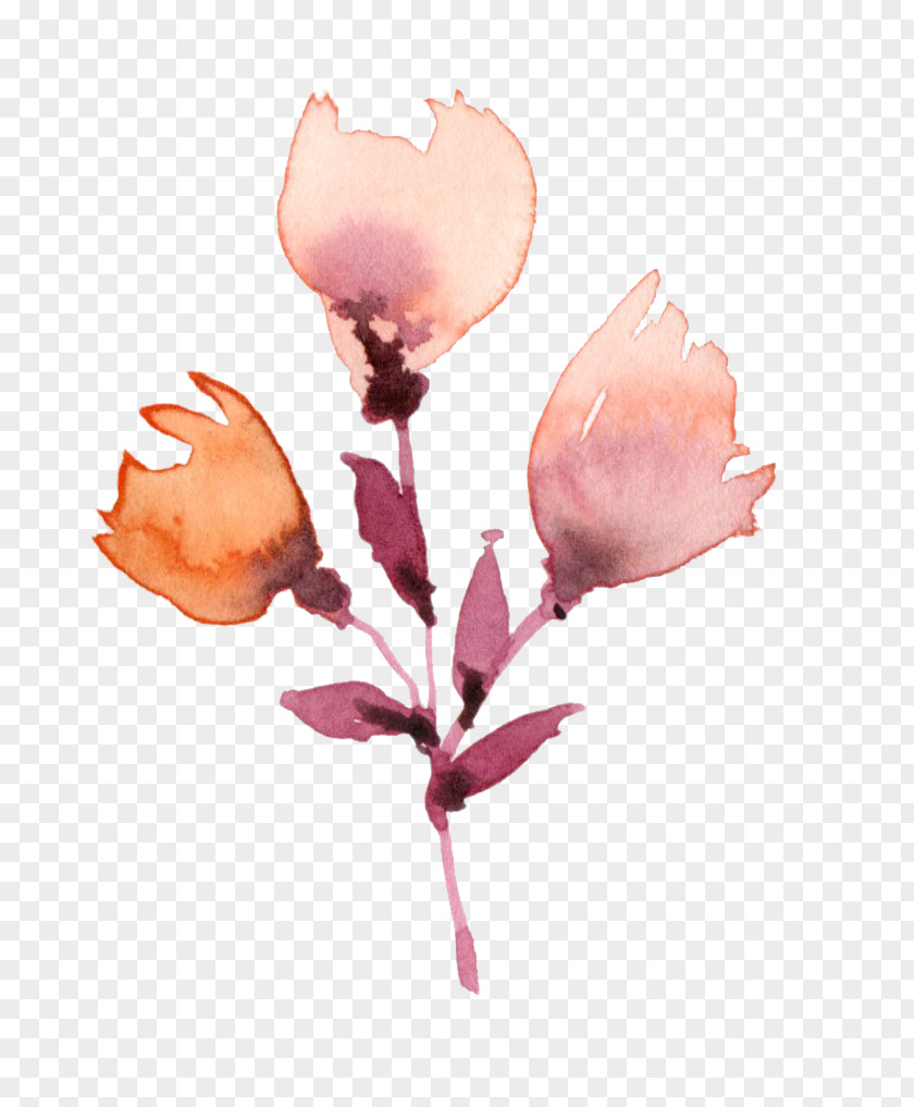 Watercolor Flowers Plant Painting Flower Drawing PNG