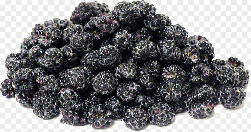 Black Raspberries Transparent Image Frutti Di Bosco Boysenberry Mulberry Raspberry PNG