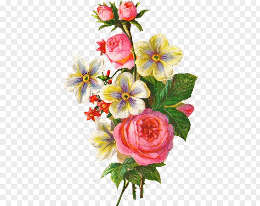 Flower Floral Design Bouquet Cut Flowers Nosegay PNG