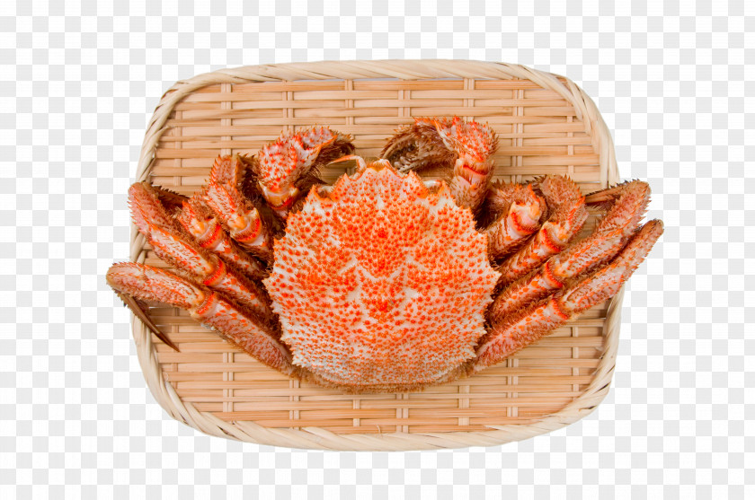 Horsehair Crab Seafood Red King PNG crab king crab, Bamboo basket of crabs clipart PNG