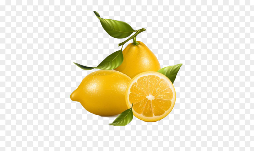Kumquat Lemon Fruit Decorative Elements Lemonade Royalty-free Clip Art PNG
