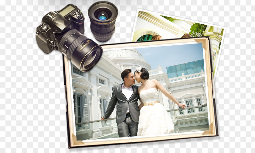 Passport Photographic Studio Wedding Photography PNG