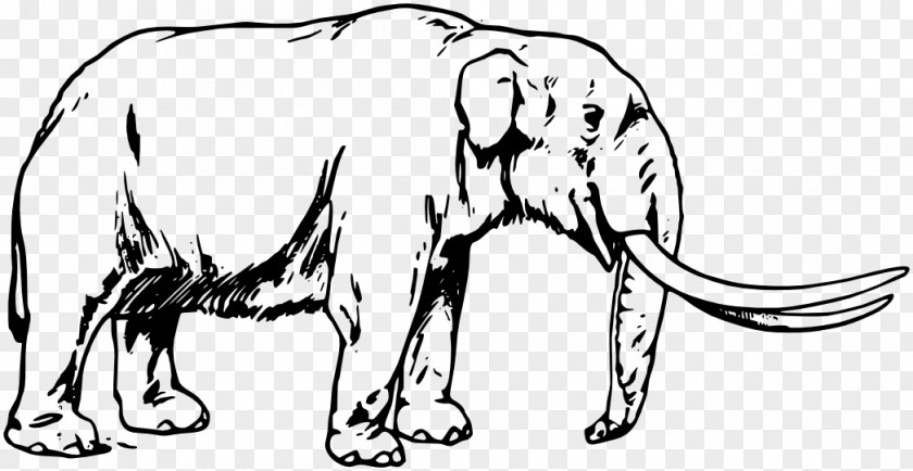 Extinct Animals African Elephant Indian Quaternary Extinction Event Pleistocene Megafauna PNG