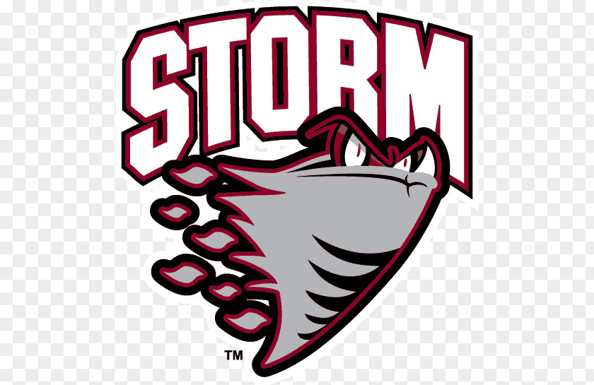 Guelph Storm Hockey Club Ontario League Ice Erie Otters PNG
