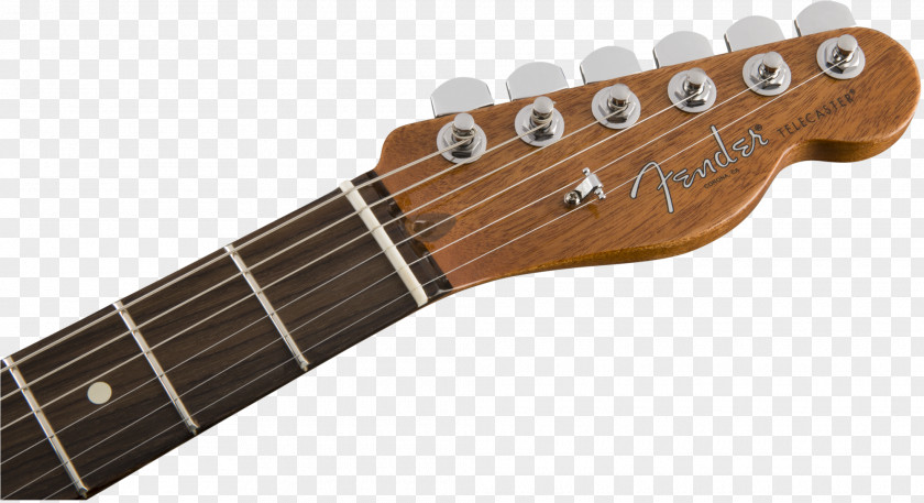 Into The Woods Taylor Swift Electric Guitar Fender Stratocaster Telecaster Musical Instruments Corporation PNG