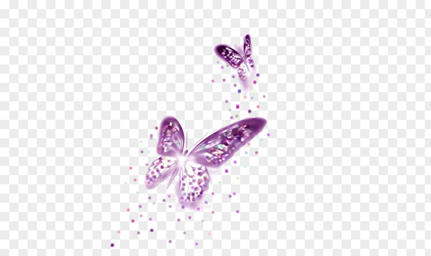 Purple Butterfly Computer File PNG