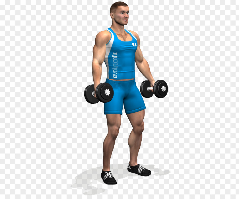 Curl Biceps Front Raise Dumbbell Fly Barbell PNG
