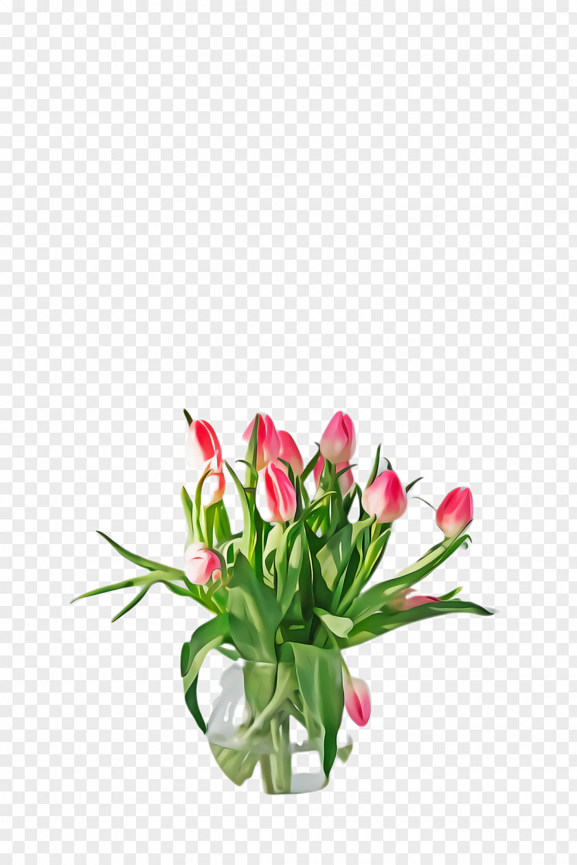Grass Anthurium Flowers Background PNG