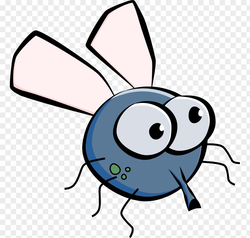 Cartoon Picture Of A Fly Clip Art PNG