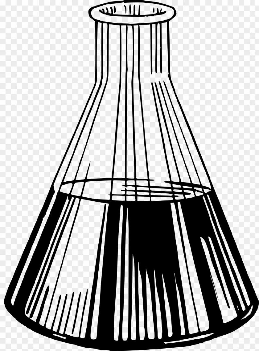 Conical Flask Laboratory Flasks Chemistry Erlenmeyer PNG