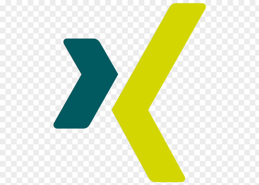 Expression Design Logo XING PNG