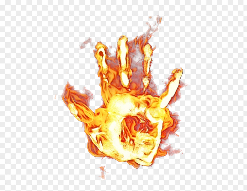 Hand Flame Fire PNG