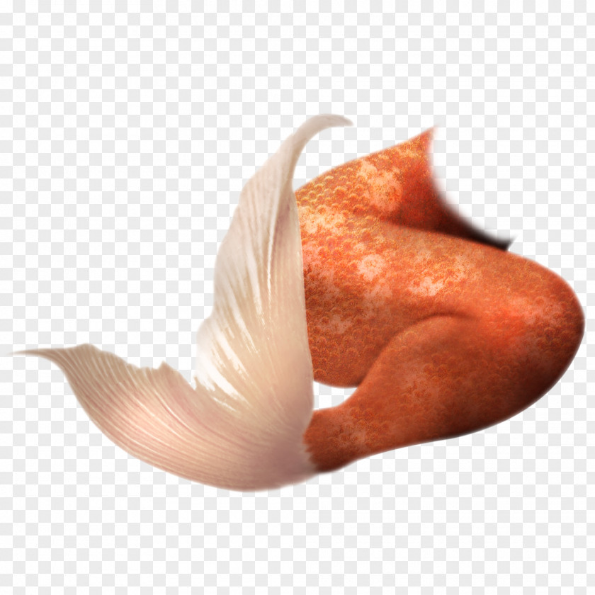 Orange Creative Mermaid Tail PNG
