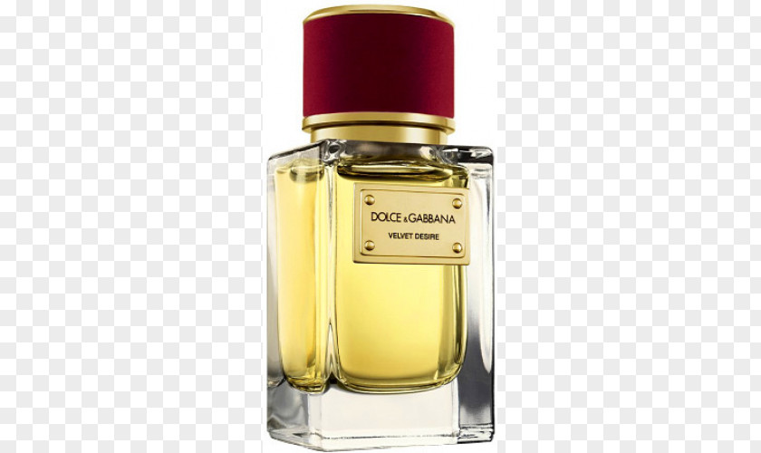 Perfume Dolce & Gabbana Eau De Parfum Osmoz Toilette PNG