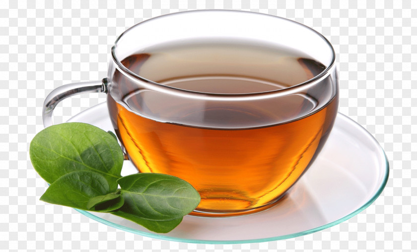 Tea Green Coffee Cafe Herbal PNG