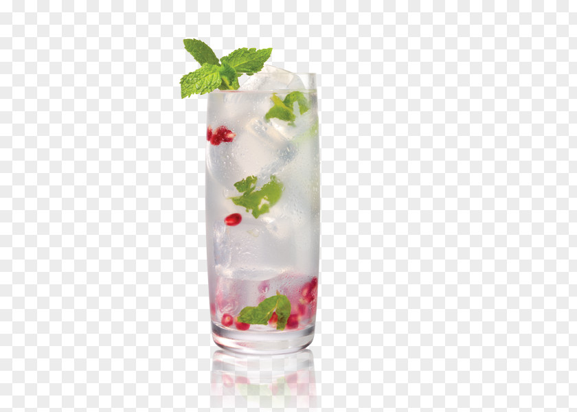 Mojito Cocktail Garnish Sea Breeze Vodka PNG