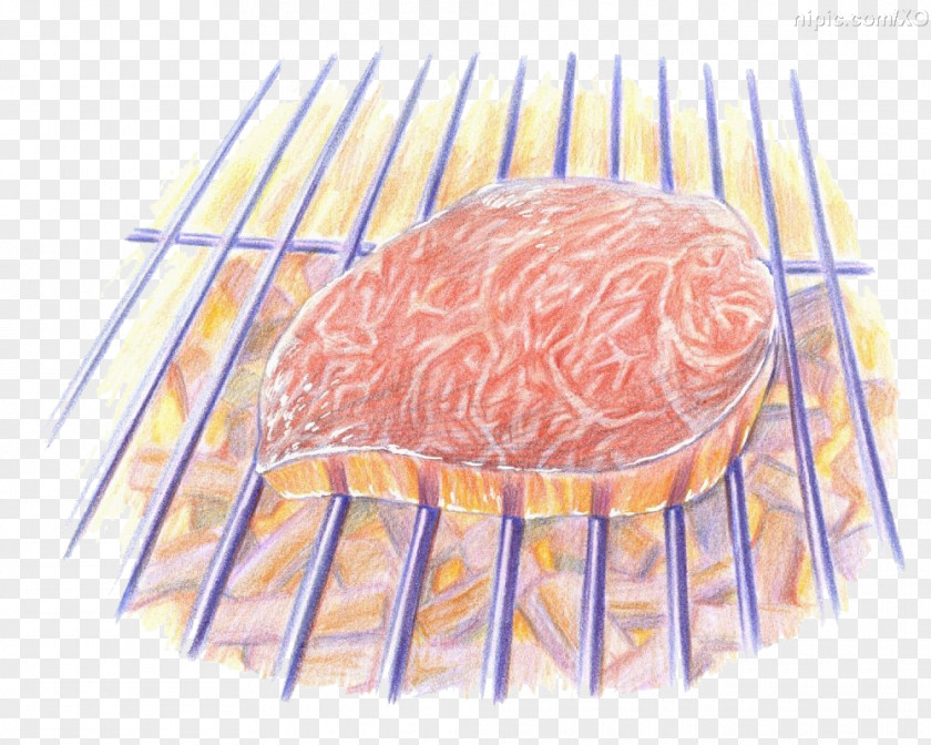 Painted Grill Japanese Cuisine Barbecue Food Drawing Colored Pencil PNG