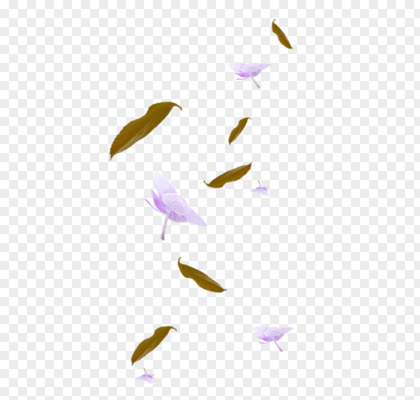 Purple Flowers Floating Petal Red Green White PNG