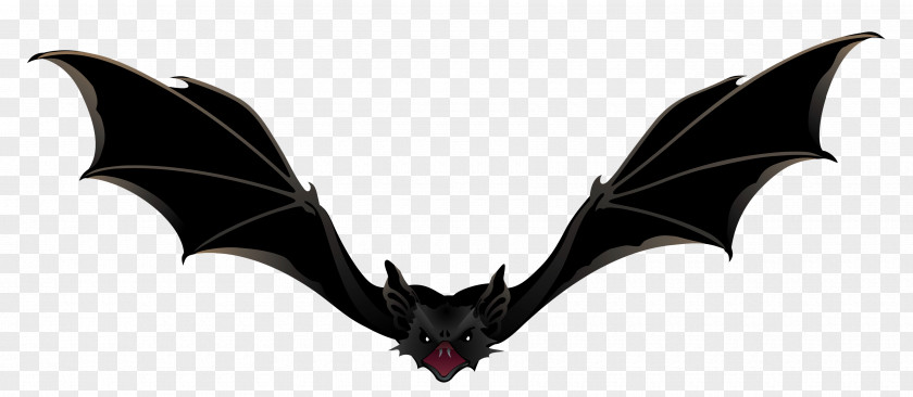 Creepy Bat Picture Clip Art PNG