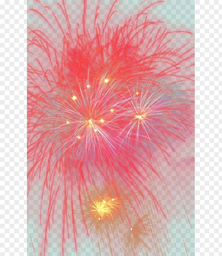 Fireworks Petal Sky Close-up PNG