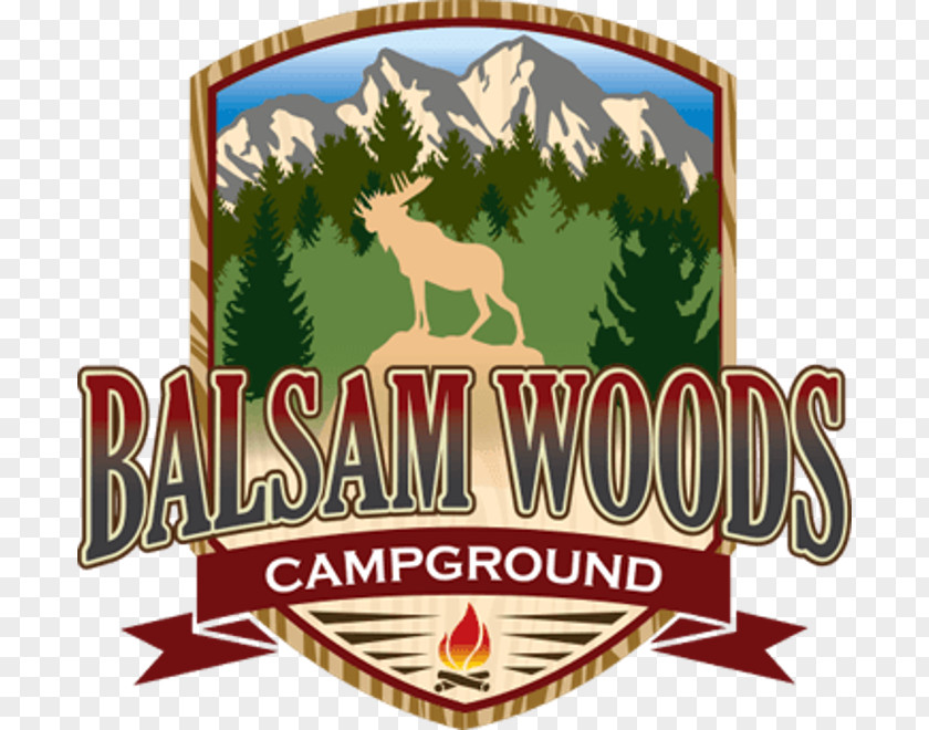 Campsite Balsam Woods Campground Caravan Park Campervans Moosehead Family PNG