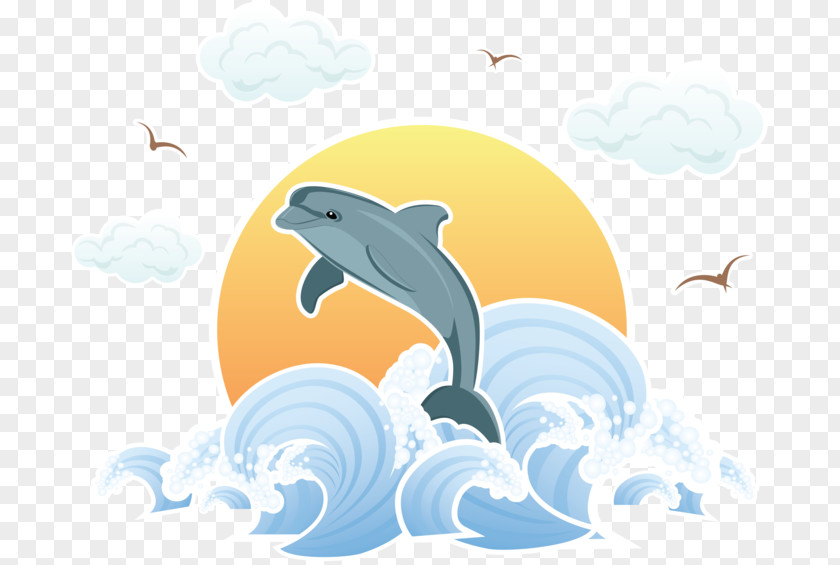 Dolphin Wind Wave Sea PNG