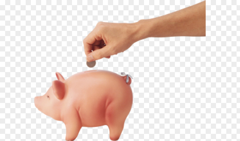 Piggy Bank Coin Image File Formats Clip Art PNG