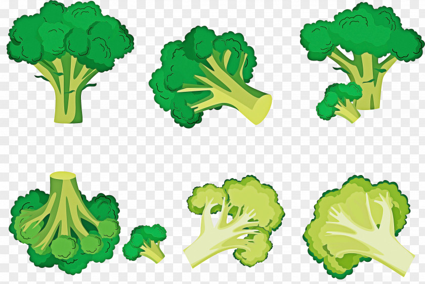 Plant Lettuce Vegetables Cartoon PNG