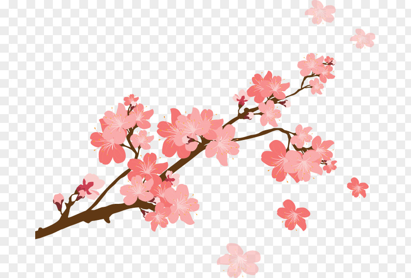 Twig Tree Cherry Blossom PNG