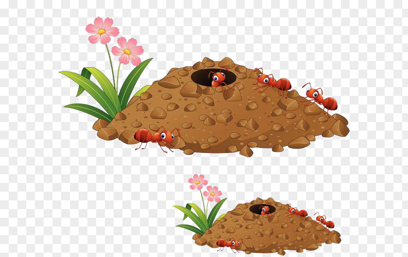 Ant Nest In The Soil Colony Cartoon Clip Art PNG