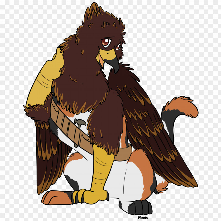 Eagle Owl Hawk Beak PNG