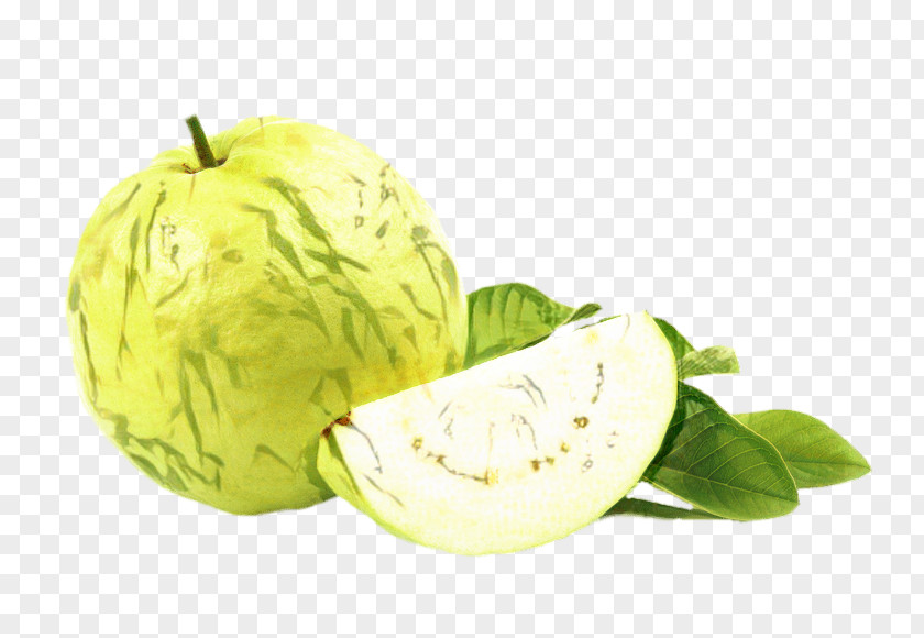 Flower Cabbage Vegetables Cartoon PNG