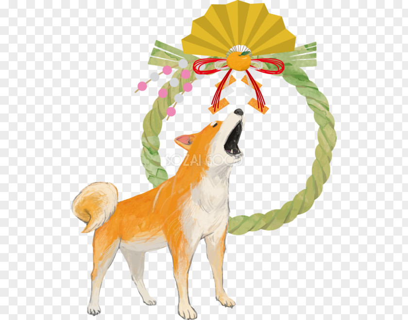 Newyear Dog Breed Shiba Inu Illustration Japanese New Year PNG