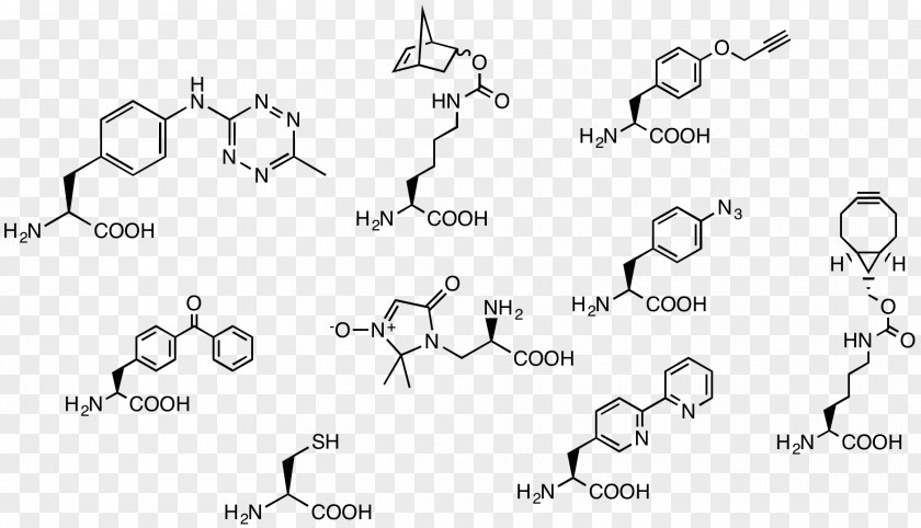 Aldehyde Oyakodon Acetal Benzyl Group Reductive Amination PNG